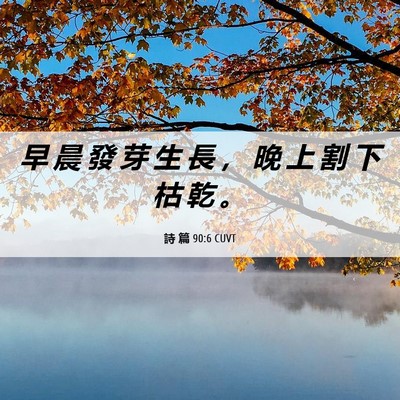 Picture 06 - 詩 篇 90:6 CUVT - 早 晨 發 芽 生 長 ， 晚 上 割 下 枯 - Bible Verse Picture