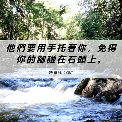 Picture 06 - 詩 篇 91:12 CUVT - 他 們 要 用 手 托 著 你 ， 免 得 你 - Bible Verse Picture