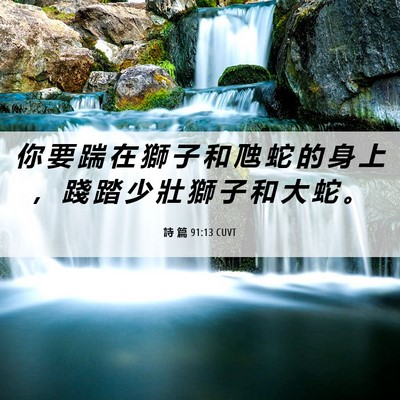 Picture 06 - 詩 篇 91:13 CUVT - 你 要 踹 在 獅 子 和 虺 蛇 的 身 上 - Bible Verse Picture