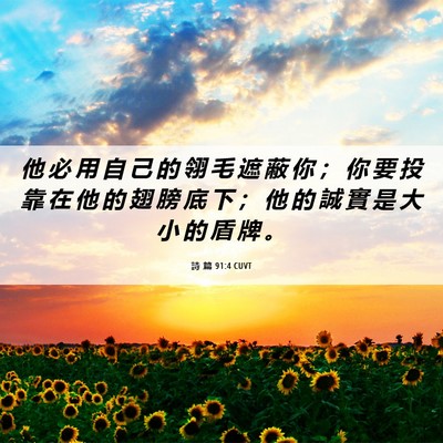 Picture 06 - 詩 篇 91:4 CUVT - 他 必 用 自 己 的 翎 毛 遮 蔽 你 ； - Bible Verse Picture