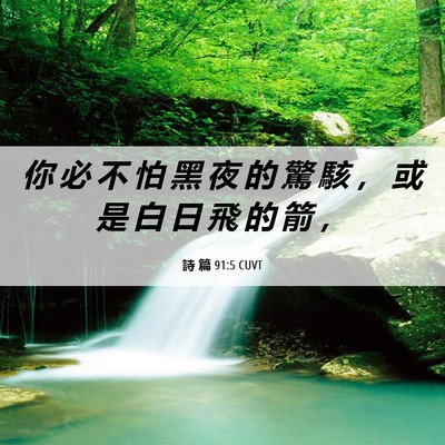 Picture 06 - 詩 篇 91:5 CUVT - 你 必 不 怕 黑 夜 的 驚 駭 ， 或 是 - Bible Verse Picture