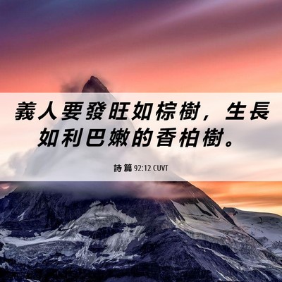Picture 06 - 詩 篇 92:12 CUVT - 義 人 要 發 旺 如 棕 樹 ， 生 長 如 - Bible Verse Picture