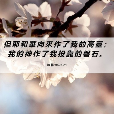 Picture 06 - 詩 篇 94:22 CUVT - 但 耶 和 華 向 來 作 了 我 的 高 臺 - Bible Verse Picture