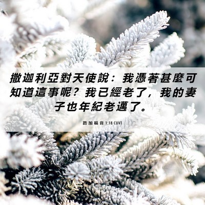 Picture 06 - 路 加 福 音 1:18 CUVT - 撒 迦 利 亞 對 天 使 說 ： 我 憑 著 - Bible Verse Picture
