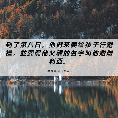 Picture 06 - 路 加 福 音 1:59 CUVT - 到 了 第 八 日 ， 他 們 來 要 給 孩 - Bible Verse Picture