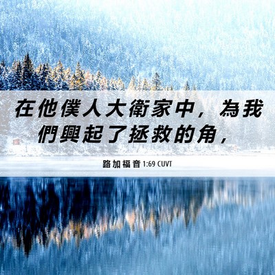 Picture 06 - 路 加 福 音 1:69 CUVT - 在 他 僕 人 大 衛 家 中 ， 為 我 們 - Bible Verse Picture