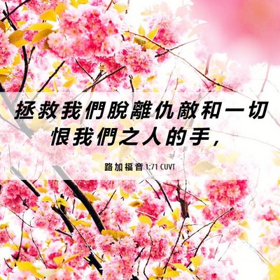 Picture 06 - 路 加 福 音 1:71 CUVT - 拯 救 我 們 脫 離 仇 敵 和 一 切 恨 - Bible Verse Picture
