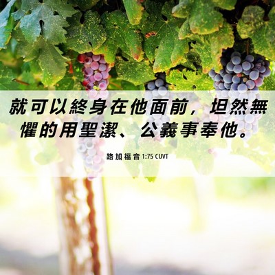Picture 06 - 路 加 福 音 1:75 CUVT - 就 可 以 終 身 在 他 面 前 ， 坦 然 - Bible Verse Picture