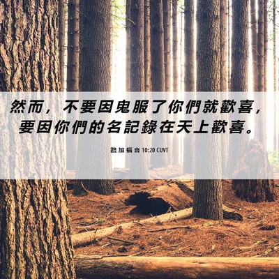 Picture 06 - 路 加 福 音 10:20 CUVT - 然 而 ， 不 要 因 鬼 服 了 你 們 就 - Bible Verse Picture