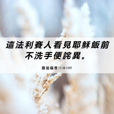 Picture 06 - 路 加 福 音 11:38 CUVT - 這 法 利 賽 人 看 見 耶 穌 飯 前 不 - Bible Verse Picture