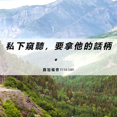 Picture 06 - 路 加 福 音 11:54 CUVT - 私 下 窺 聽 ， 要 拿 他 的 話 柄 - Bible Verse Picture