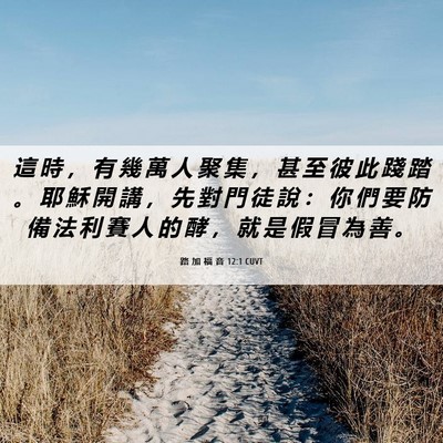Picture 06 - 路 加 福 音 12:1 CUVT - 這 時 ， 有 幾 萬 人 聚 集 ， 甚 至 - Bible Verse Picture