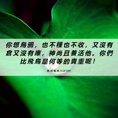 Picture 06 - 路 加 福 音 12:24 CUVT - 你 想 烏 鴉 ， 也 不 種 也 不 收 ， - Bible Verse Picture