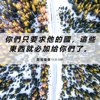 Picture 06 - 路 加 福 音 12:31 CUVT - 你 們 只 要 求 他 的 國 ， 這 些 東 - Bible Verse Picture