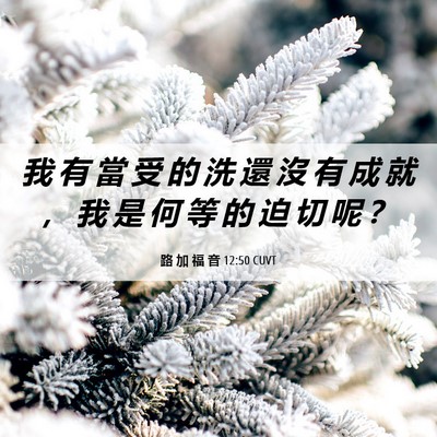 Picture 06 - 路 加 福 音 12:50 CUVT - 我 有 當 受 的 洗 還 沒 有 成 就 ， - Bible Verse Picture