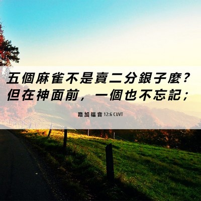 Picture 06 - 路 加 福 音 12:6 CUVT - 五 個 麻 雀 不 是 賣 二 分 銀 子 麼 - Bible Verse Picture