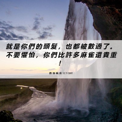 Picture 06 - 路 加 福 音 12:7 CUVT - 就 是 你 們 的 頭 髮 ， 也 都 被 數 - Bible Verse Picture