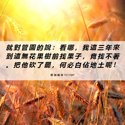 Picture 06 - 路 加 福 音 13:7 CUVT - 就 對 管 園 的 說 ： 看 哪 ， 我 這 - Bible Verse Picture