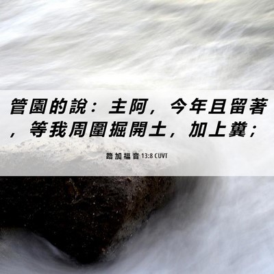 Picture 06 - 路 加 福 音 13:8 CUVT - 管 園 的 說 ： 主 阿 ， 今 年 且 留 - Bible Verse Picture
