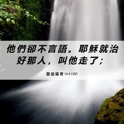 Picture 06 - 路 加 福 音 14:4 CUVT - 他 們 卻 不 言 語 。 耶 穌 就 治 好 - Bible Verse Picture