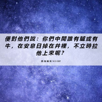 Picture 06 - 路 加 福 音 14:5 CUVT - 便 對 他 們 說 ： 你 們 中 間 誰 有 - Bible Verse Picture