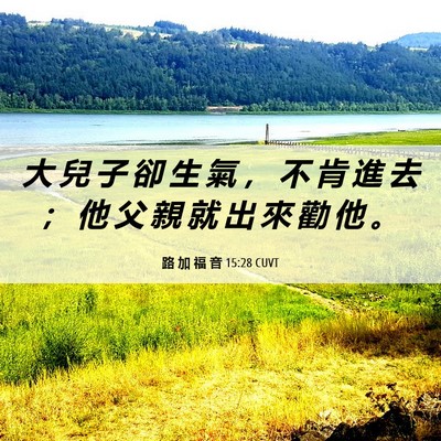 Picture 06 - 路 加 福 音 15:28 CUVT - 大 兒 子 卻 生 氣 ， 不 肯 進 去 ； - Bible Verse Picture