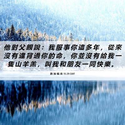 Picture 06 - 路 加 福 音 15:29 CUVT - 他 對 父 親 說 ： 我 服 事 你 這 多 - Bible Verse Picture