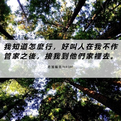 Picture 06 - 路 加 福 音 16:4 CUVT - 我 知 道 怎 麼 行 ， 好 叫 人 在 我 - Bible Verse Picture
