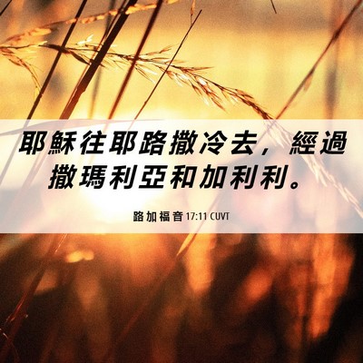 Picture 06 - 路 加 福 音 17:11 CUVT - 耶 穌 往 耶 路 撒 冷 去 ， 經 過 撒 - Bible Verse Picture