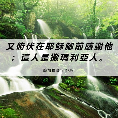 Picture 06 - 路 加 福 音 17:16 CUVT - 又 俯 伏 在 耶 穌 腳 前 感 謝 他 ； - Bible Verse Picture