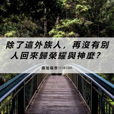 Picture 06 - 路 加 福 音 17:18 CUVT - 除 了 這 外 族 人 ， 再 沒 有 別 人 - Bible Verse Picture