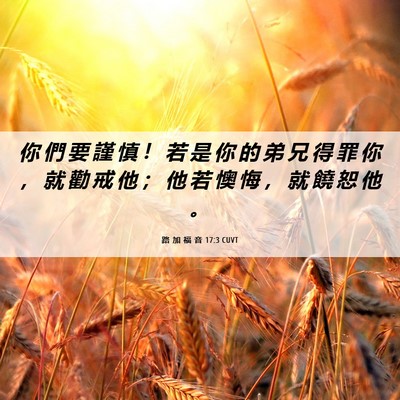Picture 06 - 路 加 福 音 17:3 CUVT - 你 們 要 謹 慎 ！ 若 是 你 的 弟 兄 - Bible Verse Picture