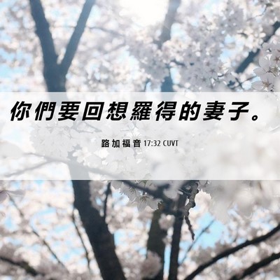 Picture 06 - 路 加 福 音 17:32 CUVT - 你 們 要 回 想 羅 得 的 妻 子 - Bible Verse Picture