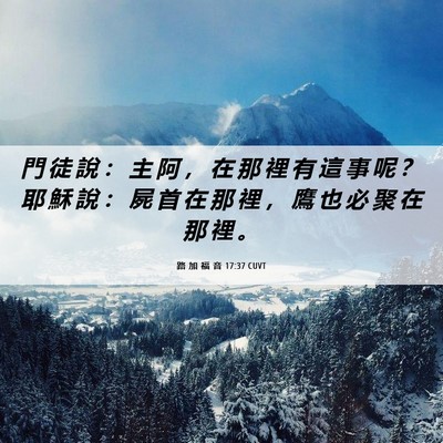 Picture 06 - 路 加 福 音 17:37 CUVT - 門 徒 說 ： 主 阿 ， 在 那 裡 有 這 - Bible Verse Picture