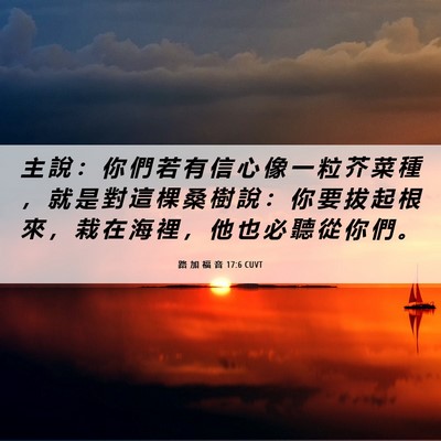 Picture 06 - 路 加 福 音 17:6 CUVT - 主 說 ： 你 們 若 有 信 心 像 一 粒 - Bible Verse Picture