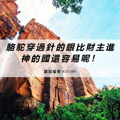 Picture 06 - 路 加 福 音 18:25 CUVT - 駱 駝 穿 過 針 的 眼 比 財 主 進 神 - Bible Verse Picture