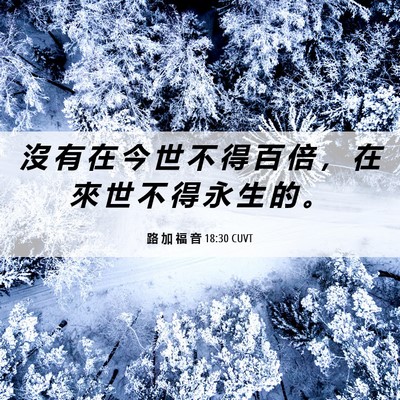 Picture 06 - 路 加 福 音 18:30 CUVT - 沒 有 在 今 世 不 得 百 倍 ， 在 來 - Bible Verse Picture