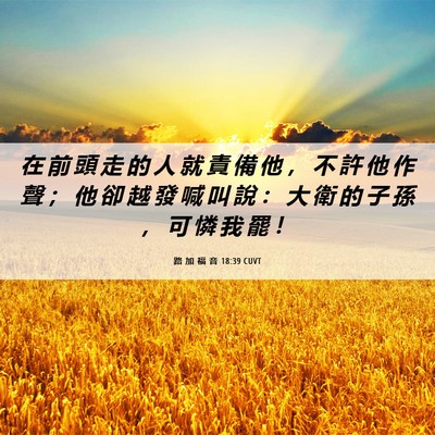 Picture 06 - 路 加 福 音 18:39 CUVT - 在 前 頭 走 的 人 就 責 備 他 ， 不 - Bible Verse Picture