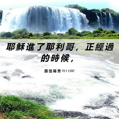 Picture 06 - 路 加 福 音 19:1 CUVT - 耶 穌 進 了 耶 利 哥 ， 正 經 過 的 - Bible Verse Picture
