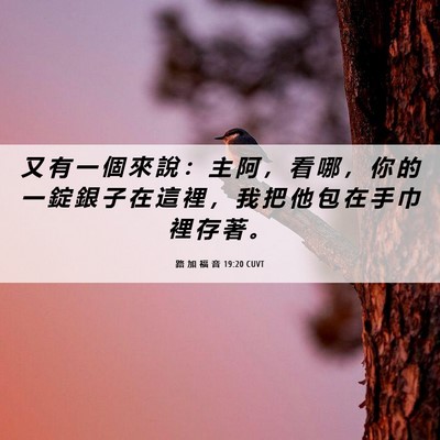 Picture 06 - 路 加 福 音 19:20 CUVT - 又 有 一 個 來 說 ： 主 阿 ， 看 哪 - Bible Verse Picture