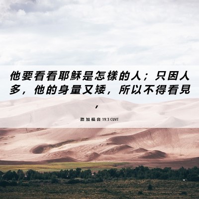 Picture 06 - 路 加 福 音 19:3 CUVT - 他 要 看 看 耶 穌 是 怎 樣 的 人 ； - Bible Verse Picture