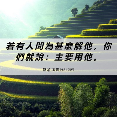 Picture 06 - 路 加 福 音 19:31 CUVT - 若 有 人 問 為 甚 麼 解 他 ， 你 們 - Bible Verse Picture