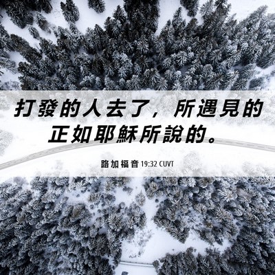 Picture 06 - 路 加 福 音 19:32 CUVT - 打 發 的 人 去 了 ， 所 遇 見 的 正 - Bible Verse Picture