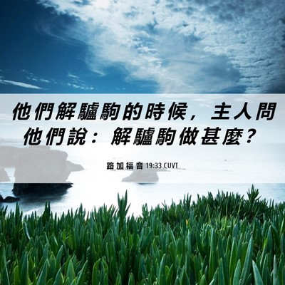Picture 06 - 路 加 福 音 19:33 CUVT - 他 們 解 驢 駒 的 時 候 ， 主 人 問 - Bible Verse Picture