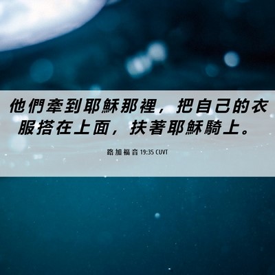 Picture 06 - 路 加 福 音 19:35 CUVT - 他 們 牽 到 耶 穌 那 裡 ， 把 自 己 - Bible Verse Picture