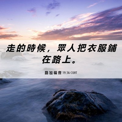 Picture 06 - 路 加 福 音 19:36 CUVT - 走 的 時 候 ， 眾 人 把 衣 服 鋪 在 - Bible Verse Picture