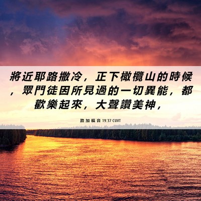 Picture 06 - 路 加 福 音 19:37 CUVT - 將 近 耶 路 撒 冷 ， 正 下 橄 欖 山 - Bible Verse Picture