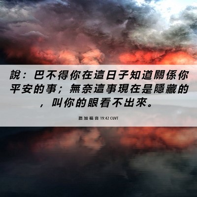 Picture 06 - 路 加 福 音 19:42 CUVT - 說 ： 巴 不 得 你 在 這 日 子 知 道 - Bible Verse Picture