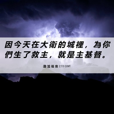 Picture 06 - 路 加 福 音 2:11 CUVT - 因 今 天 在 大 衛 的 城 裡 ， 為 你 - Bible Verse Picture