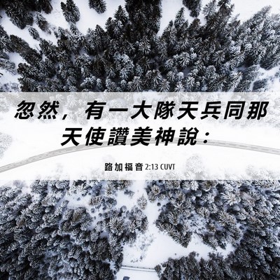 Picture 06 - 路 加 福 音 2:13 CUVT - 忽 然 ， 有 一 大 隊 天 兵 同 那 天 - Bible Verse Picture